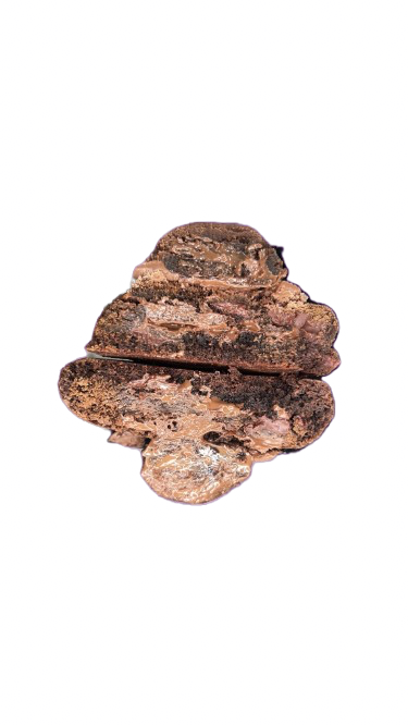 Double Chocolate Brownie